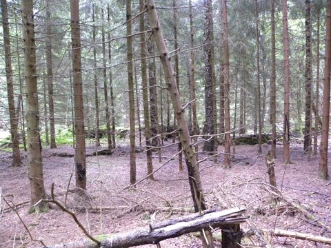 Foto 30